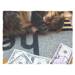 Dreaming of Money Fleece Blanket Small 40 x 30 - Also available in medium and large