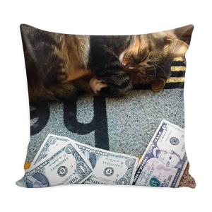 "Dreaming of Money" Pillow Cover